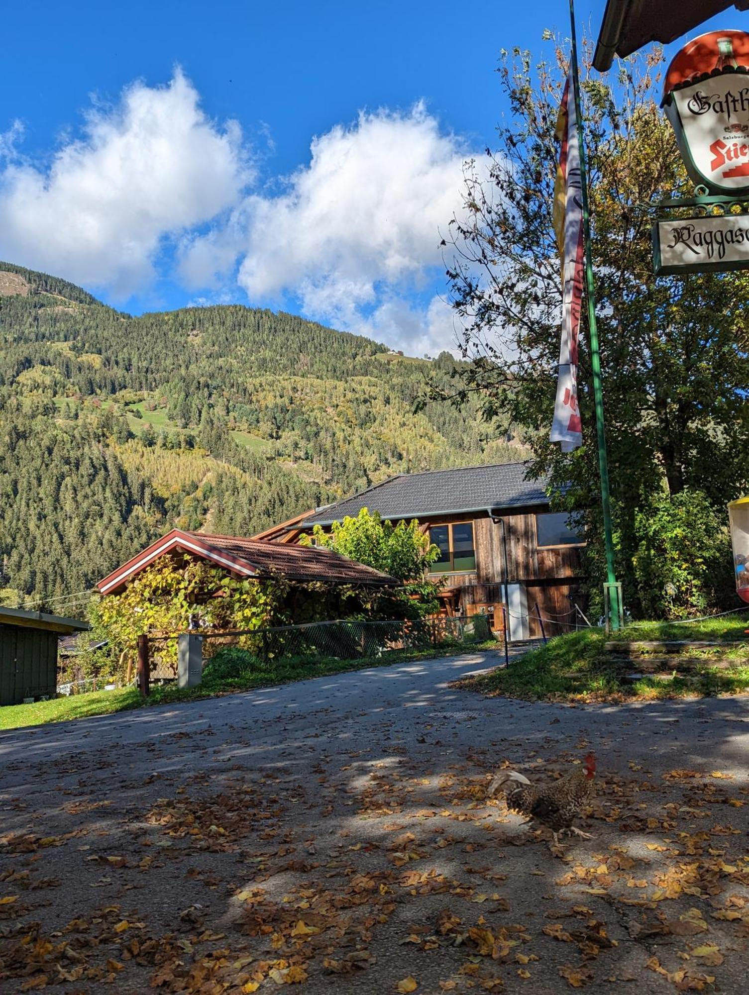 Chalet Schmelz Huette Mit Sauna Und Garten فلاتاش المظهر الخارجي الصورة